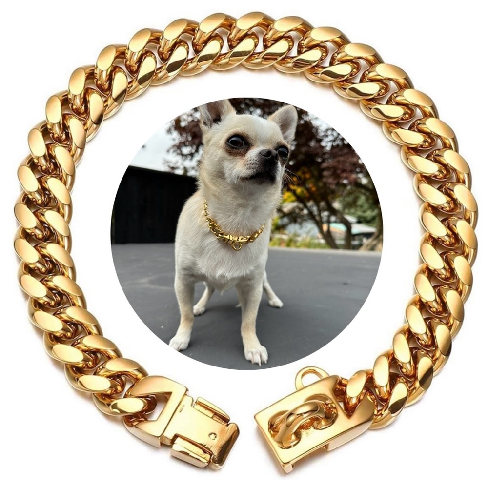 Hip Hop Style 18kt gold plated stainless steel dog collar and tag - 10” chain